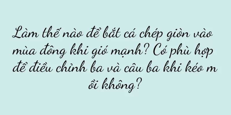 Làm thế nào để bắt cá chép giòn vào mùa đông khi gió mạnh? Có phù hợp để điều chỉnh ba và câu ba khi kéo mồi không?