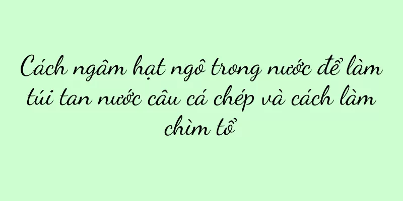 Cách ngâm hạt ngô trong nước để làm túi tan nước câu cá chép và cách làm chìm tổ