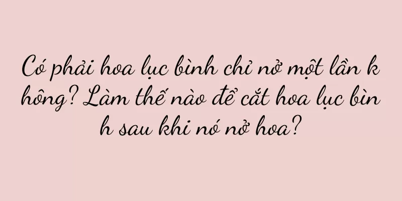 Có phải hoa lục bình chỉ nở một lần không? Làm thế nào để cắt hoa lục bình sau khi nó nở hoa?