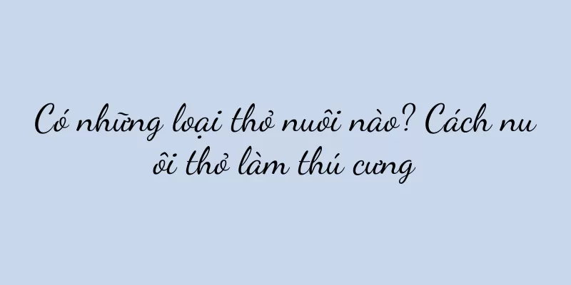 Có những loại thỏ nuôi nào? Cách nuôi thỏ làm thú cưng