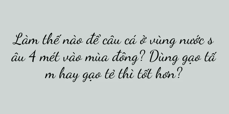 Làm thế nào để câu cá ở vùng nước sâu 4 mét vào mùa đông? Dùng gạo tấm hay gạo tẻ thì tốt hơn?