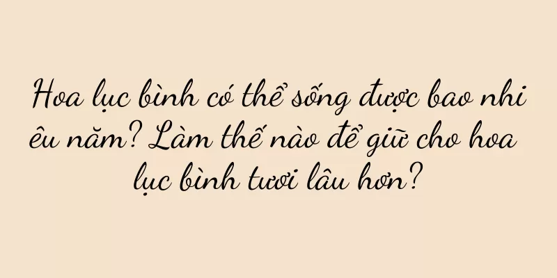 Hoa lục bình có thể sống được bao nhiêu năm? Làm thế nào để giữ cho hoa lục bình tươi lâu hơn?