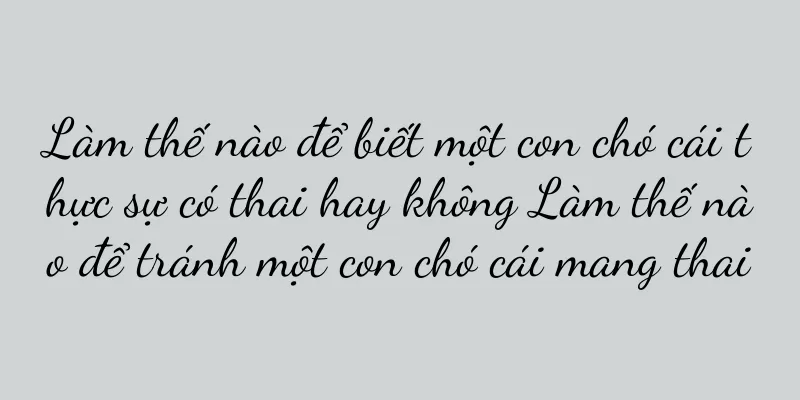 Làm thế nào để biết một con chó cái thực sự có thai hay không Làm thế nào để tránh một con chó cái mang thai