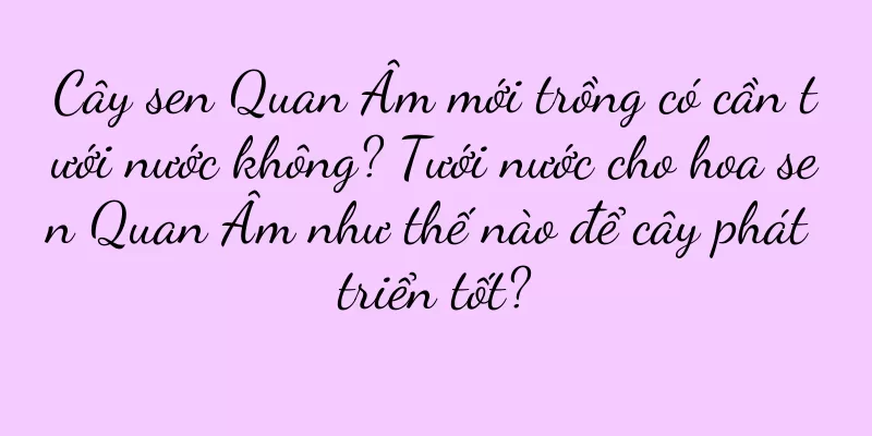 Cây sen Quan Âm mới trồng có cần tưới nước không? Tưới nước cho hoa sen Quan Âm như thế nào để cây phát triển tốt?