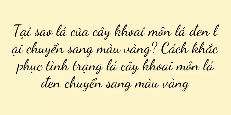 Tại sao lá của cây khoai môn lá đen lại chuyển sang màu vàng? Cách khắc phục tình trạng lá cây khoai môn lá đen chuyển sang màu vàng
