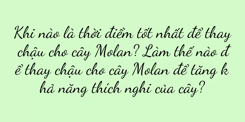 Khi nào là thời điểm tốt nhất để thay chậu cho cây Molan? Làm thế nào để thay chậu cho cây Molan để tăng khả năng thích nghi của cây?