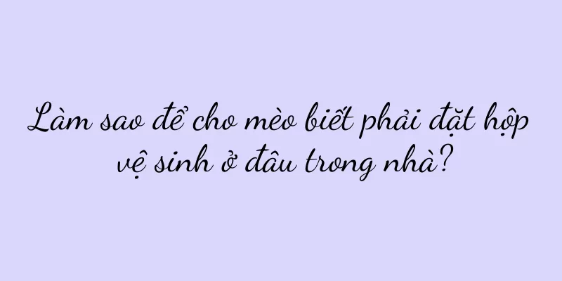 Làm sao để cho mèo biết phải đặt hộp vệ sinh ở đâu trong nhà?