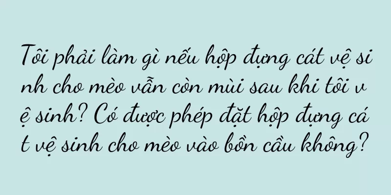 Tôi phải làm gì nếu hộp đựng cát vệ sinh cho mèo vẫn còn mùi sau khi tôi vệ sinh? Có được phép đặt hộp đựng cát vệ sinh cho mèo vào bồn cầu không?