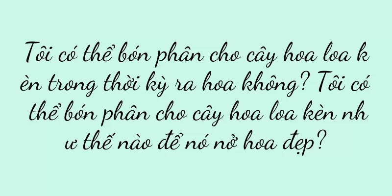 Tôi có thể bón phân cho cây hoa loa kèn trong thời kỳ ra hoa không? Tôi có thể bón phân cho cây hoa loa kèn như thế nào để nó nở hoa đẹp?