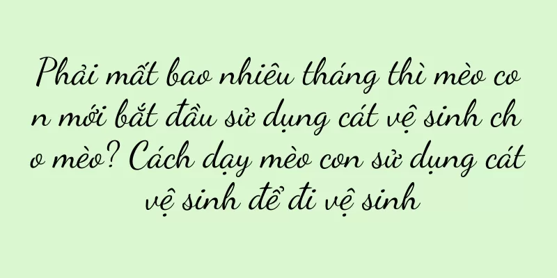 Phải mất bao nhiêu tháng thì mèo con mới bắt đầu sử dụng cát vệ sinh cho mèo? Cách dạy mèo con sử dụng cát vệ sinh để đi vệ sinh