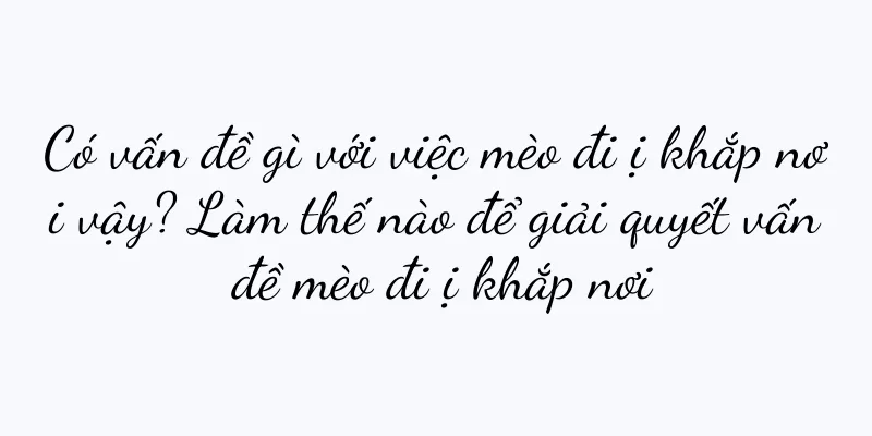 Có vấn đề gì với việc mèo đi ị khắp nơi vậy? Làm thế nào để giải quyết vấn đề mèo đi ị khắp nơi