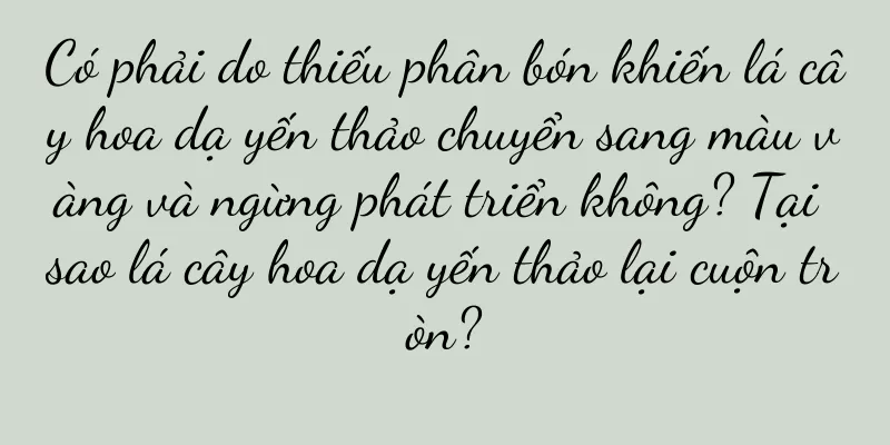 Có phải do thiếu phân bón khiến lá cây hoa dạ yến thảo chuyển sang màu vàng và ngừng phát triển không? Tại sao lá cây hoa dạ yến thảo lại cuộn tròn?