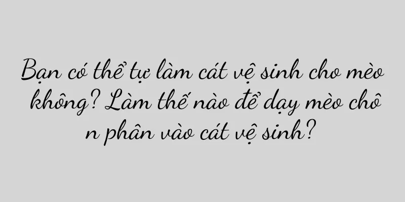 Bạn có thể tự làm cát vệ sinh cho mèo không? Làm thế nào để dạy mèo chôn phân vào cát vệ sinh?