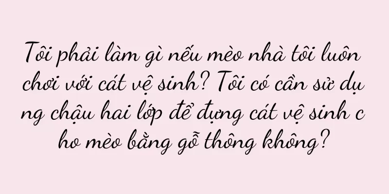 Tôi phải làm gì nếu mèo nhà tôi luôn chơi với cát vệ sinh? Tôi có cần sử dụng chậu hai lớp để đựng cát vệ sinh cho mèo bằng gỗ thông không?