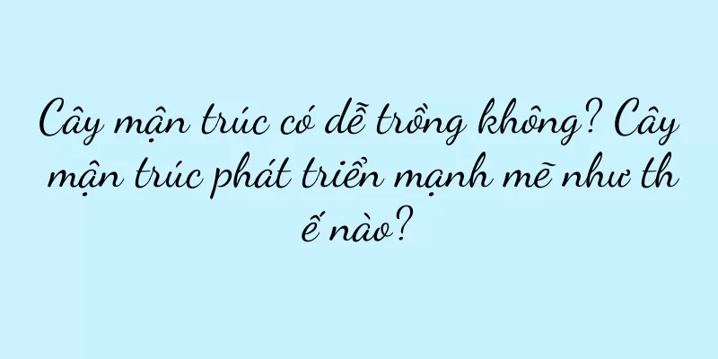 Cây mận trúc có dễ trồng không? Cây mận trúc phát triển mạnh mẽ như thế nào?