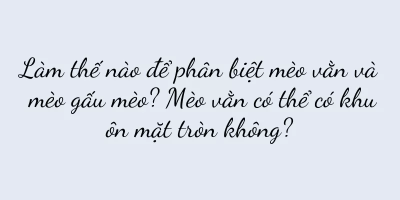 Làm thế nào để phân biệt mèo vằn và mèo gấu mèo? Mèo vằn có thể có khuôn mặt tròn không?