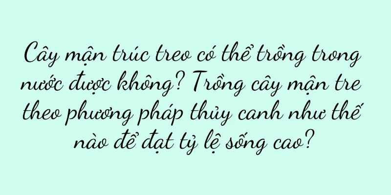 Cây mận trúc treo có thể trồng trong nước được không? Trồng cây mận tre theo phương pháp thủy canh như thế nào để đạt tỷ lệ sống cao?