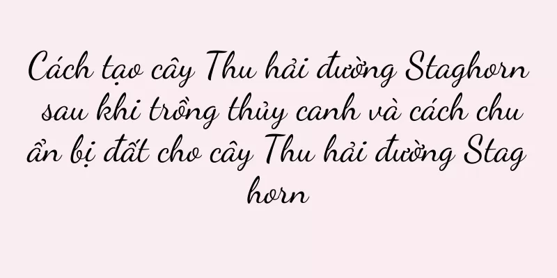 Cách tạo cây Thu hải đường Staghorn sau khi trồng thủy canh và cách chuẩn bị đất cho cây Thu hải đường Staghorn
