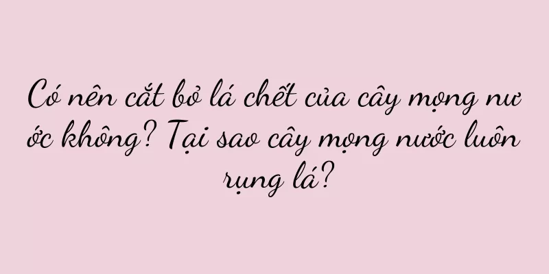 Có nên cắt bỏ lá chết của cây mọng nước không? Tại sao cây mọng nước luôn rụng lá?
