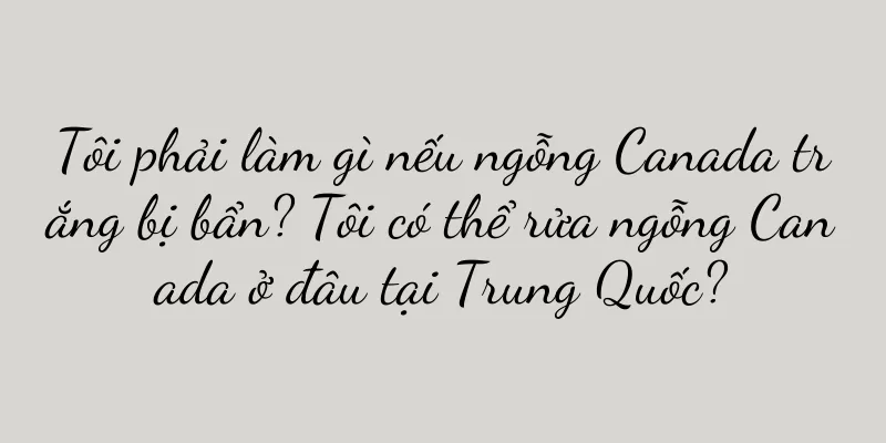 Tôi phải làm gì nếu ngỗng Canada trắng bị bẩn? Tôi có thể rửa ngỗng Canada ở đâu tại Trung Quốc?