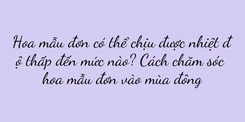 Hoa mẫu đơn có thể chịu được nhiệt độ thấp đến mức nào? Cách chăm sóc hoa mẫu đơn vào mùa đông