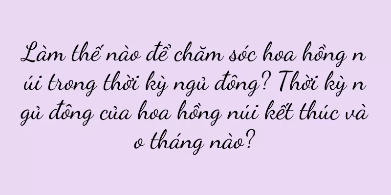 Làm thế nào để chăm sóc hoa hồng núi trong thời kỳ ngủ đông? Thời kỳ ngủ đông của hoa hồng núi kết thúc vào tháng nào?