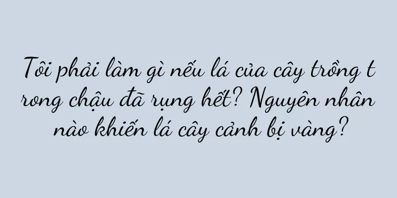 Tôi phải làm gì nếu lá của cây trồng trong chậu đã rụng hết? Nguyên nhân nào khiến lá cây cảnh bị vàng?