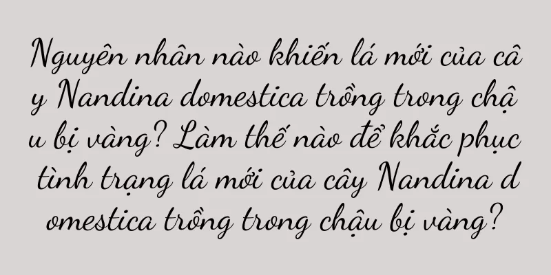 Nguyên nhân nào khiến lá mới của cây Nandina domestica trồng trong chậu bị vàng? Làm thế nào để khắc phục tình trạng lá mới của cây Nandina domestica trồng trong chậu bị vàng?