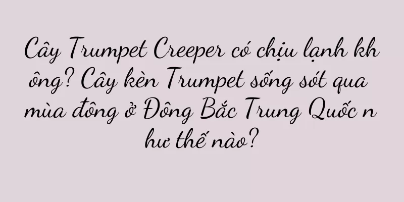 Cây Trumpet Creeper có chịu lạnh không? Cây kèn Trumpet sống sót qua mùa đông ở Đông Bắc Trung Quốc như thế nào?