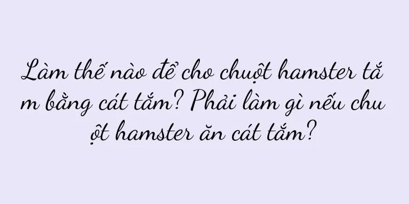 Làm thế nào để cho chuột hamster tắm bằng cát tắm? Phải làm gì nếu chuột hamster ăn cát tắm?