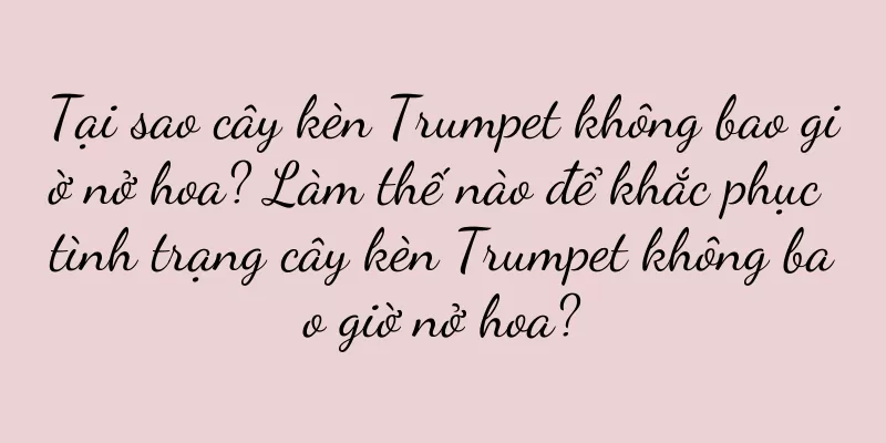 Tại sao cây kèn Trumpet không bao giờ nở hoa? Làm thế nào để khắc phục tình trạng cây kèn Trumpet không bao giờ nở hoa?