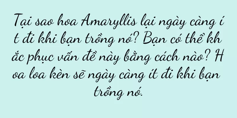 Tại sao hoa Amaryllis lại ngày càng ít đi khi bạn trồng nó? Bạn có thể khắc phục vấn đề này bằng cách nào? Hoa loa kèn sẽ ngày càng ít đi khi bạn trồng nó.