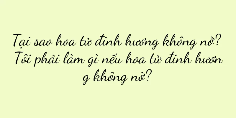 Tại sao hoa tử đinh hương không nở? Tôi phải làm gì nếu hoa tử đinh hương không nở?