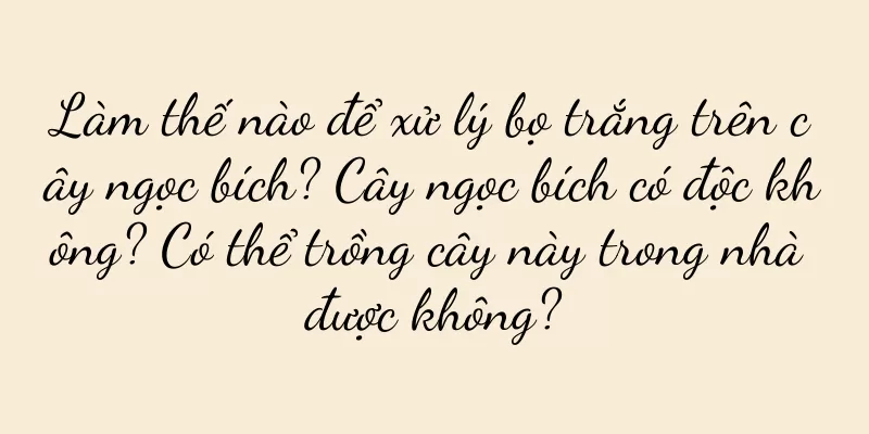 Làm thế nào để xử lý bọ trắng trên cây ngọc bích? Cây ngọc bích có độc không? Có thể trồng cây này trong nhà được không?