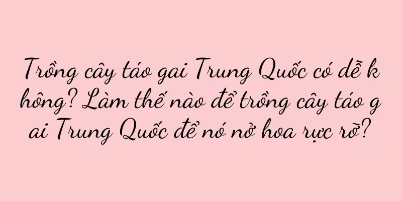 Trồng cây táo gai Trung Quốc có dễ không? Làm thế nào để trồng cây táo gai Trung Quốc để nó nở hoa rực rỡ?