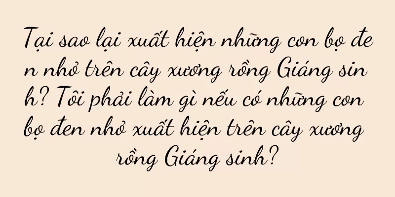 Tại sao lại xuất hiện những con bọ đen nhỏ trên cây xương rồng Giáng sinh? Tôi phải làm gì nếu có những con bọ đen nhỏ xuất hiện trên cây xương rồng Giáng sinh?