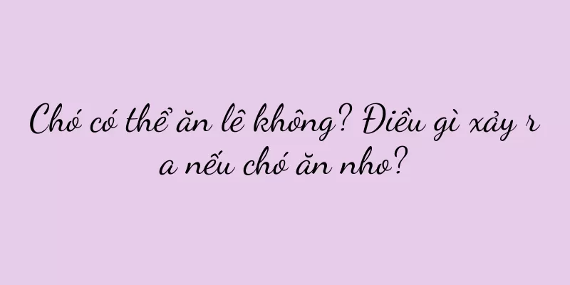 Chó có thể ăn lê không? Điều gì xảy ra nếu chó ăn nho?