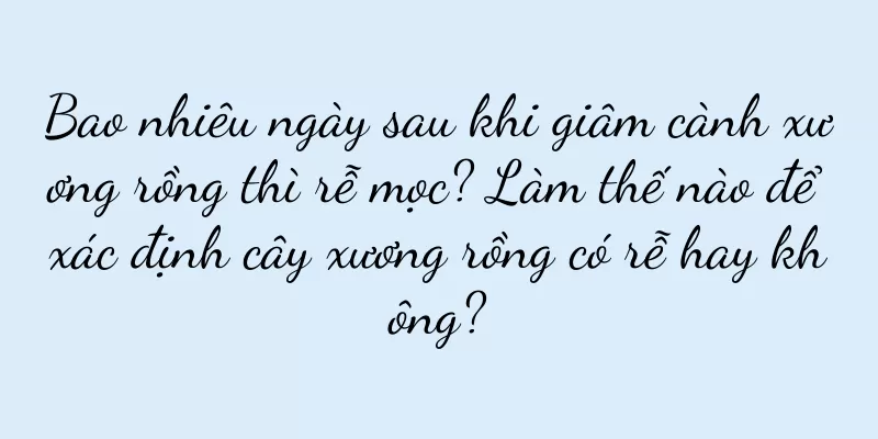 Bao nhiêu ngày sau khi giâm cành xương rồng thì rễ mọc? Làm thế nào để xác định cây xương rồng có rễ hay không?