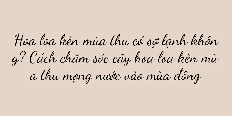 Hoa loa kèn mùa thu có sợ lạnh không? Cách chăm sóc cây hoa loa kèn mùa thu mọng nước vào mùa đông