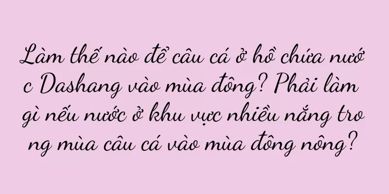 Làm thế nào để câu cá ở hồ chứa nước Dashang vào mùa đông? Phải làm gì nếu nước ở khu vực nhiều nắng trong mùa câu cá vào mùa đông nông?