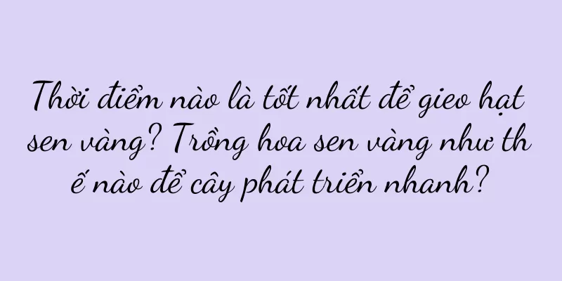 Thời điểm nào là tốt nhất để gieo hạt sen vàng? Trồng hoa sen vàng như thế nào để cây phát triển nhanh?