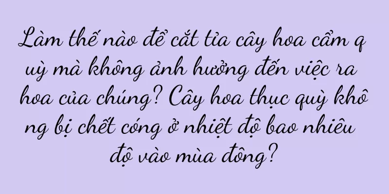 Làm thế nào để cắt tỉa cây hoa cẩm quỳ mà không ảnh hưởng đến việc ra hoa của chúng? Cây hoa thục quỳ không bị chết cóng ở nhiệt độ bao nhiêu độ vào mùa đông?