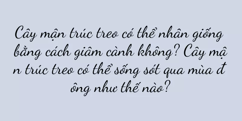 Cây mận trúc treo có thể nhân giống bằng cách giâm cành không? Cây mận trúc treo có thể sống sót qua mùa đông như thế nào?