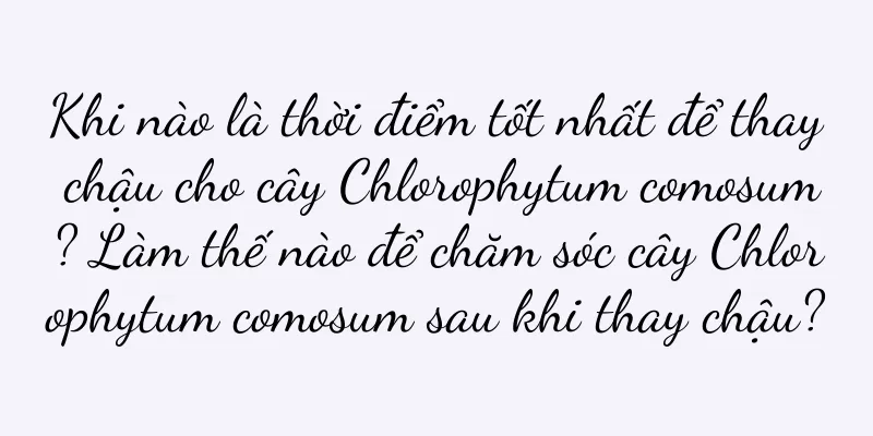 Khi nào là thời điểm tốt nhất để thay chậu cho cây Chlorophytum comosum? Làm thế nào để chăm sóc cây Chlorophytum comosum sau khi thay chậu?