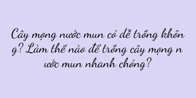 Cây mọng nước mun có dễ trồng không? Làm thế nào để trồng cây mọng nước mun nhanh chóng?