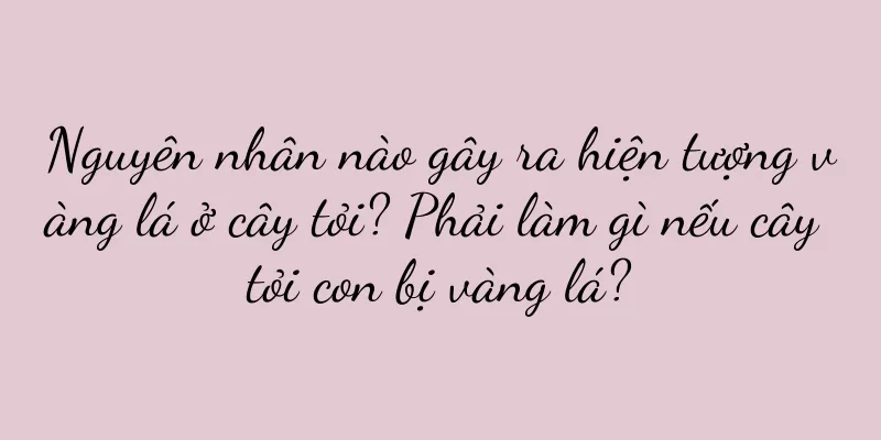 Nguyên nhân nào gây ra hiện tượng vàng lá ở cây tỏi? Phải làm gì nếu cây tỏi con bị vàng lá?