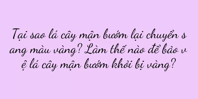 Tại sao lá cây mận bướm lại chuyển sang màu vàng? Làm thế nào để bảo vệ lá cây mận bướm khỏi bị vàng?