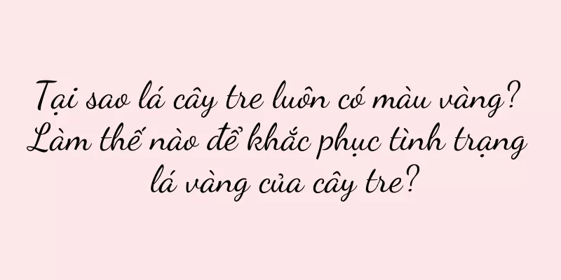 Tại sao lá cây tre luôn có màu vàng? Làm thế nào để khắc phục tình trạng lá vàng của cây tre?