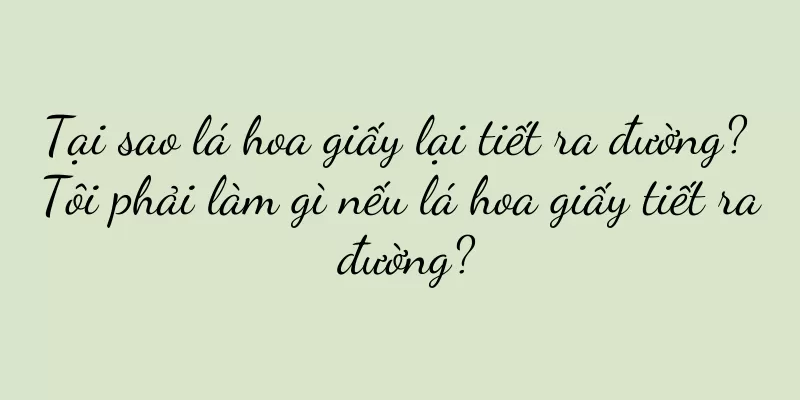 Tại sao lá hoa giấy lại tiết ra đường? Tôi phải làm gì nếu lá hoa giấy tiết ra đường?