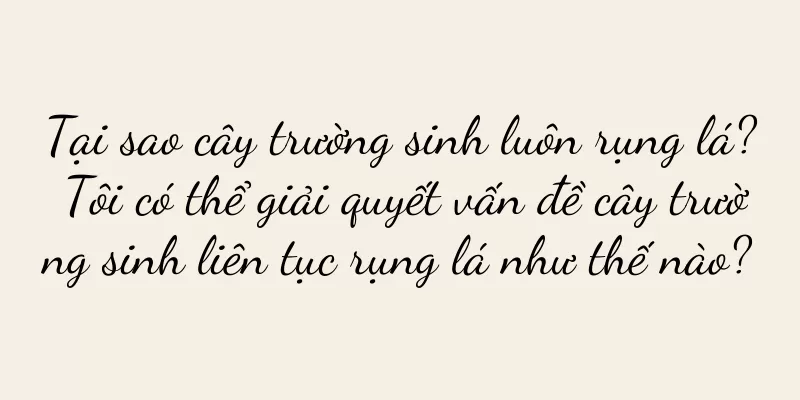 Tại sao cây trường sinh luôn rụng lá? Tôi có thể giải quyết vấn đề cây trường sinh liên tục rụng lá như thế nào?
